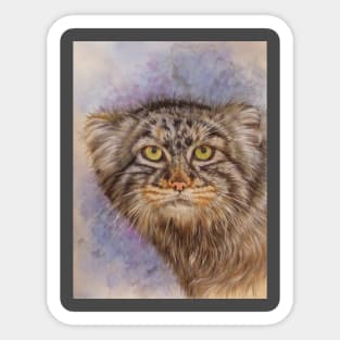 Pallas's Cat Sticker